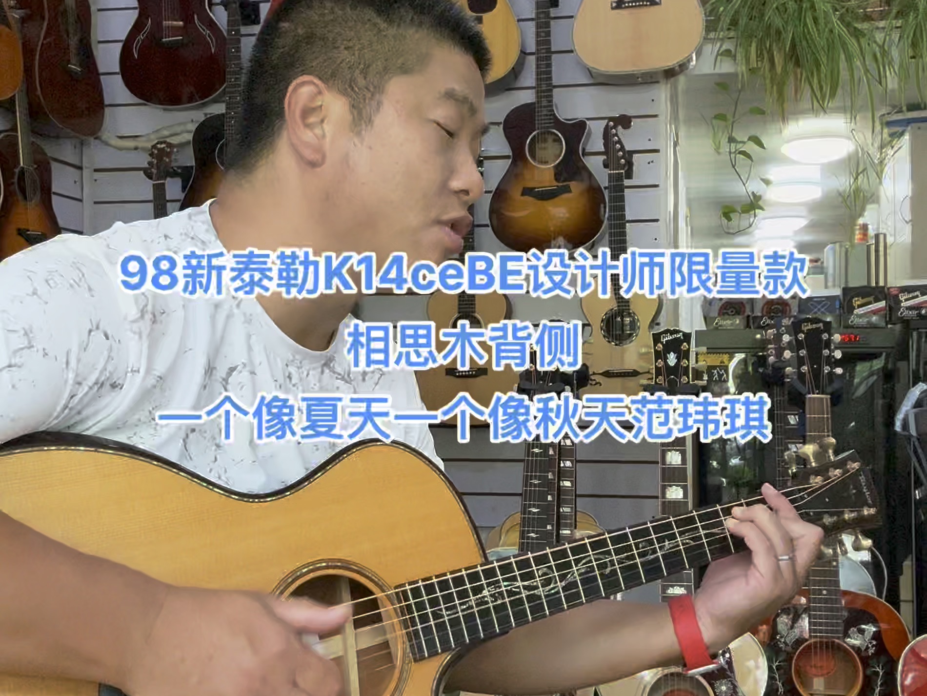 98新泰勒K14ceBE设计师限量款相思木背侧吉他上海张扬琴行泰 98新泰勒K14ceBE设计师限量款相思木背侧吉他上海张扬琴行泰