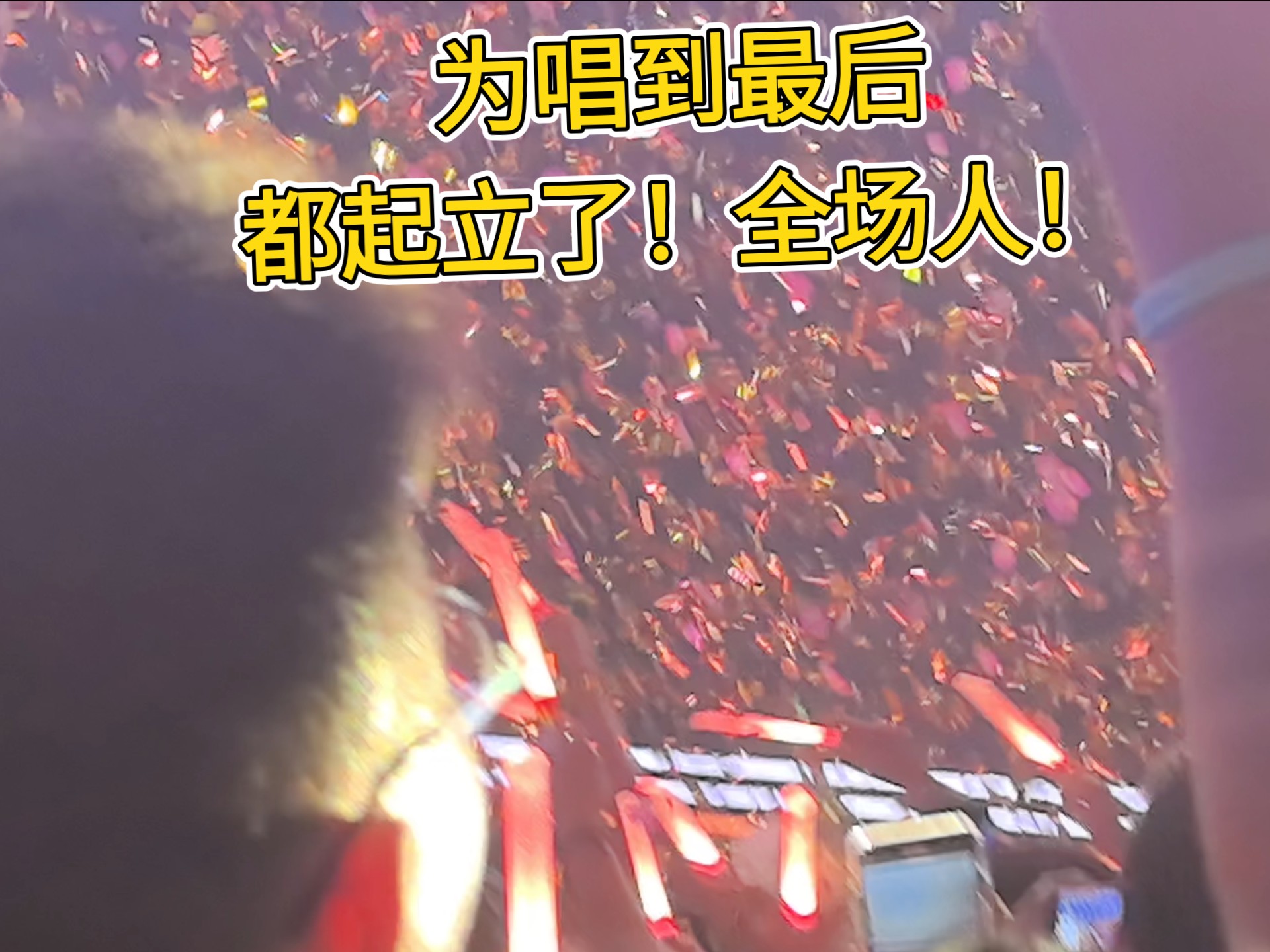 〔补档〕演唱会的最后，看到锦依卫如此团结的全体起立，真的泪目