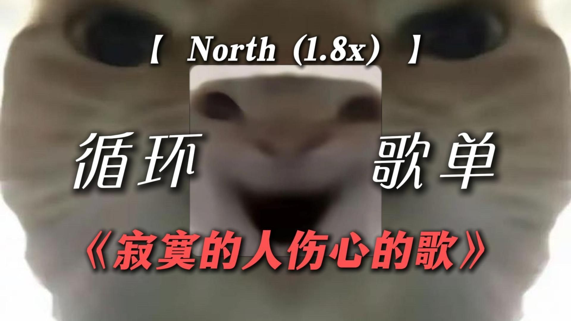 循环歌单|【寂寞的人伤心的歌】|“【得吃の小曲】【78の小曲
