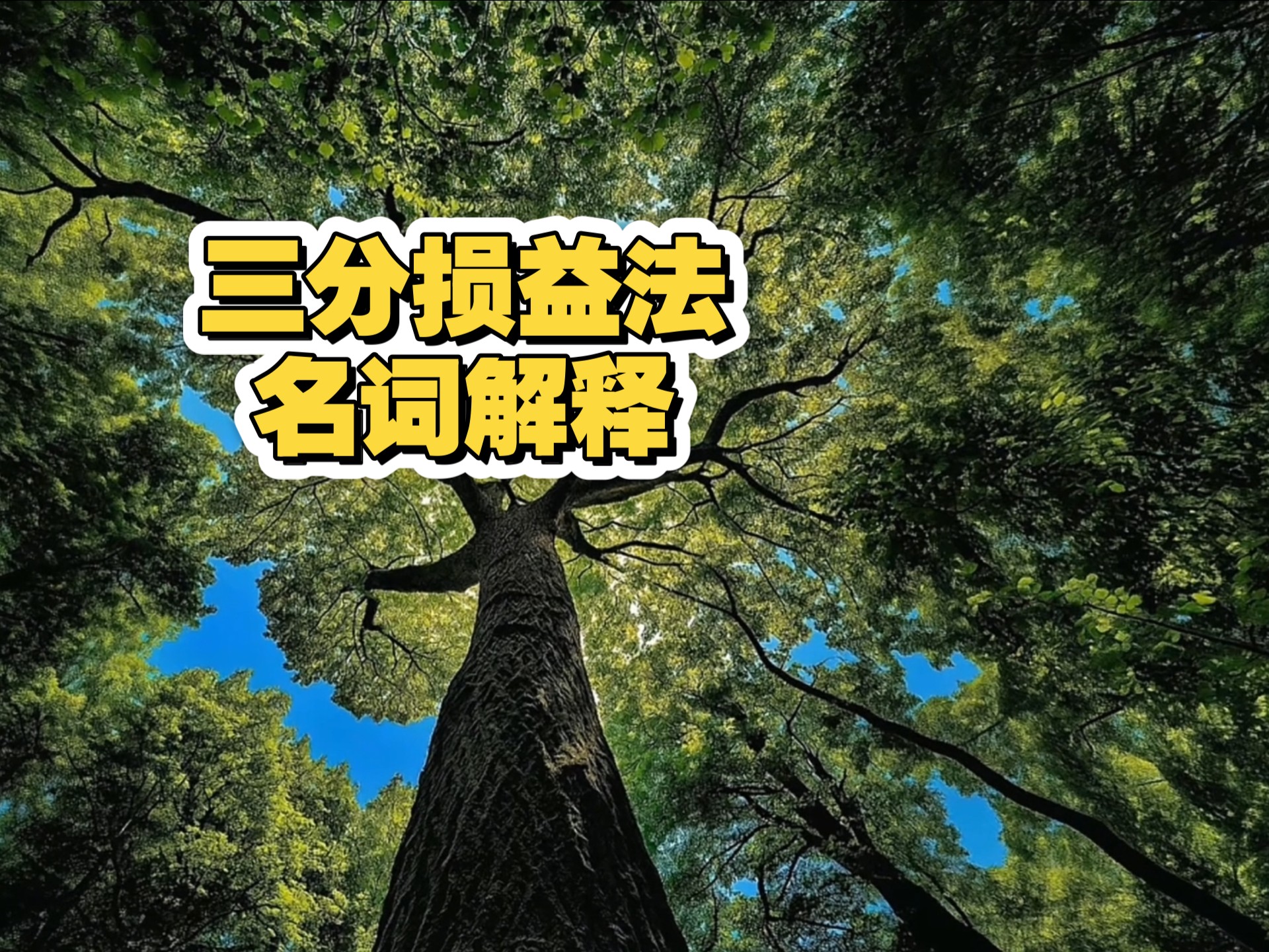 三分损益法 名词解释