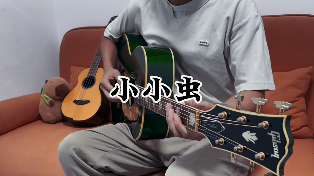吉他弹唱小小虫