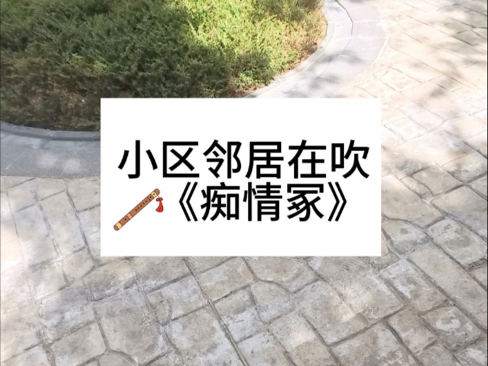 我小古筝和笛子邻居合奏..