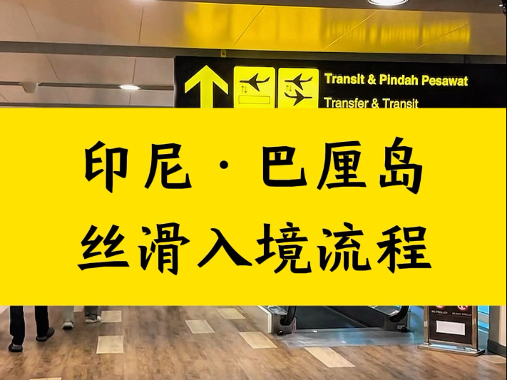 #印尼 #巴厘岛 #入境流程 一个视频让您入境印尼更顺畅，更省钱