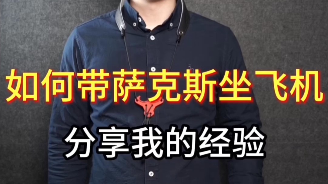 【萨克斯教学】如何带萨克斯坐飞机？大家有什么好的经验一起来