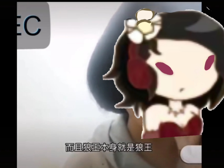 水个，哈哈哈，