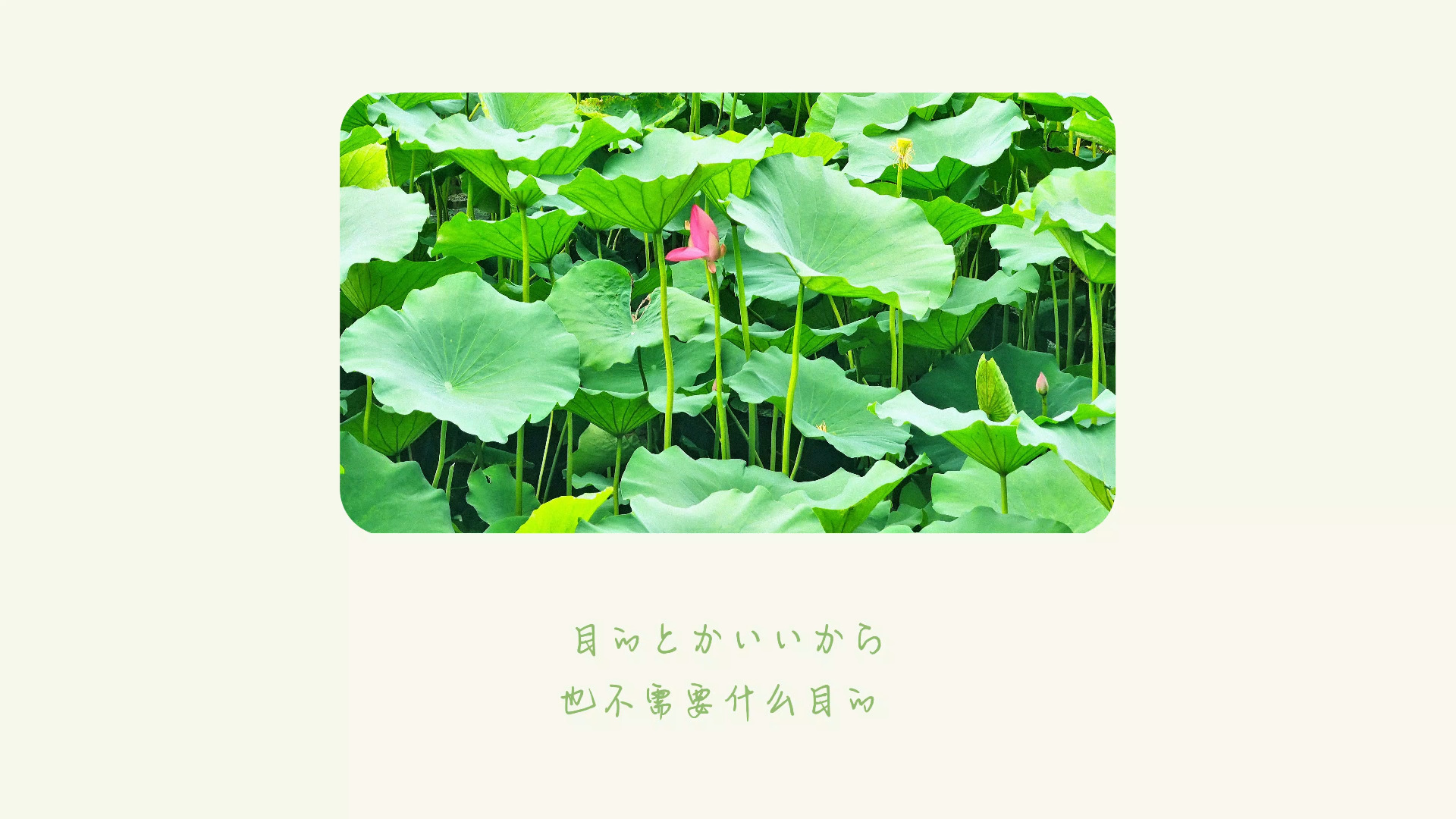 【2025 n-buna生贺】憂一乗（唯有忧伤）（feat: GUMI）（SynthesizerV 