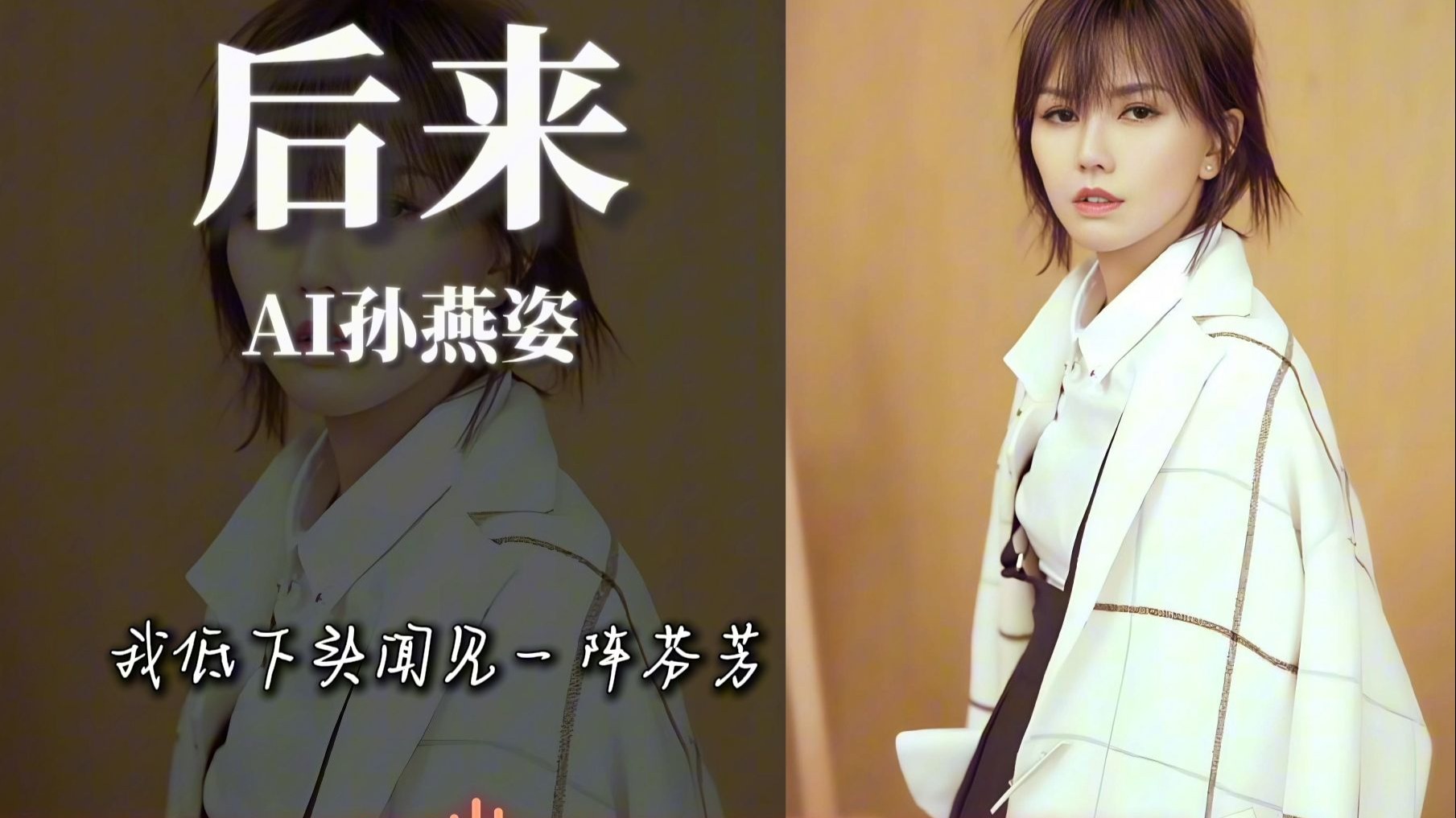 【AI孙燕姿】后来（cover：刘若英）|“你都如何回忆我 带着笑或是