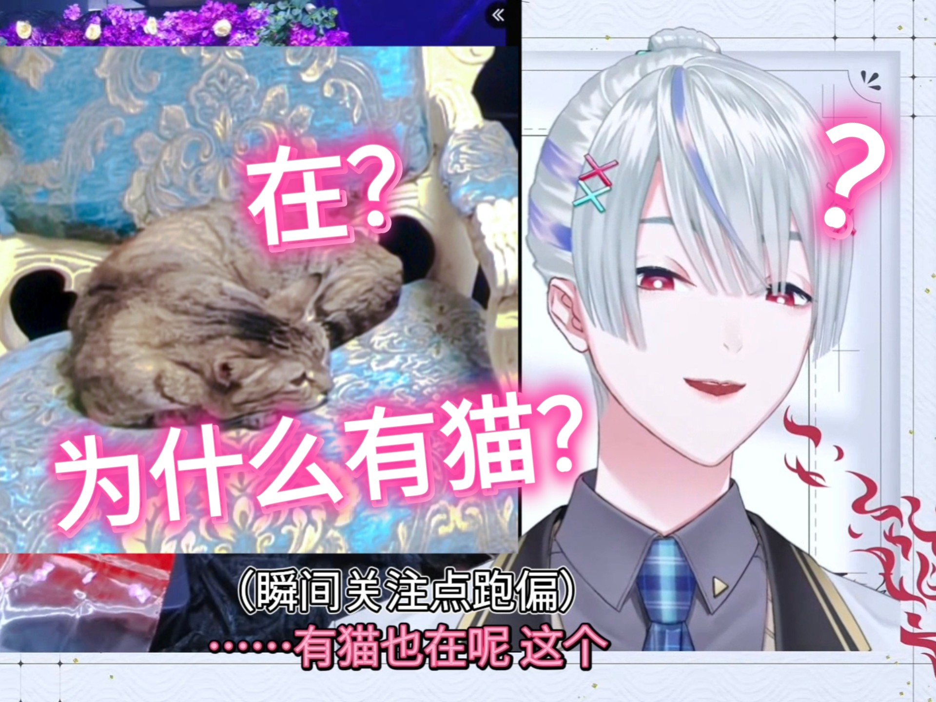 【熟】届到了！但是主角是猫（？）【弦月藤士郎/自存记录&花絮】