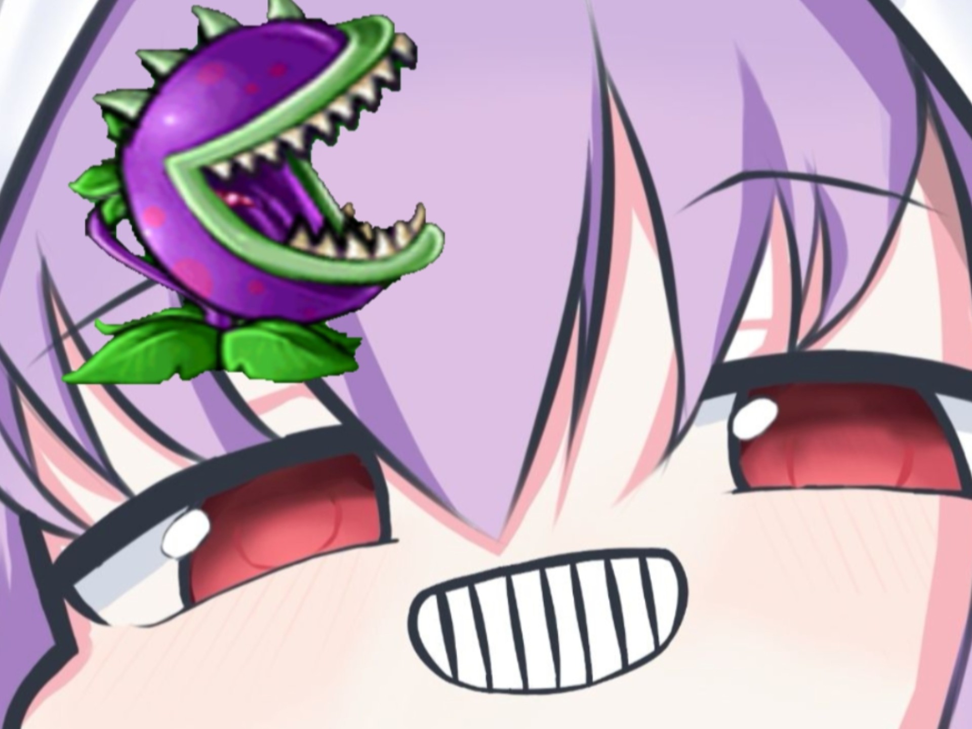【亚津子の早安花语时间#46】‘’老师，您知道大嘴花的花语是