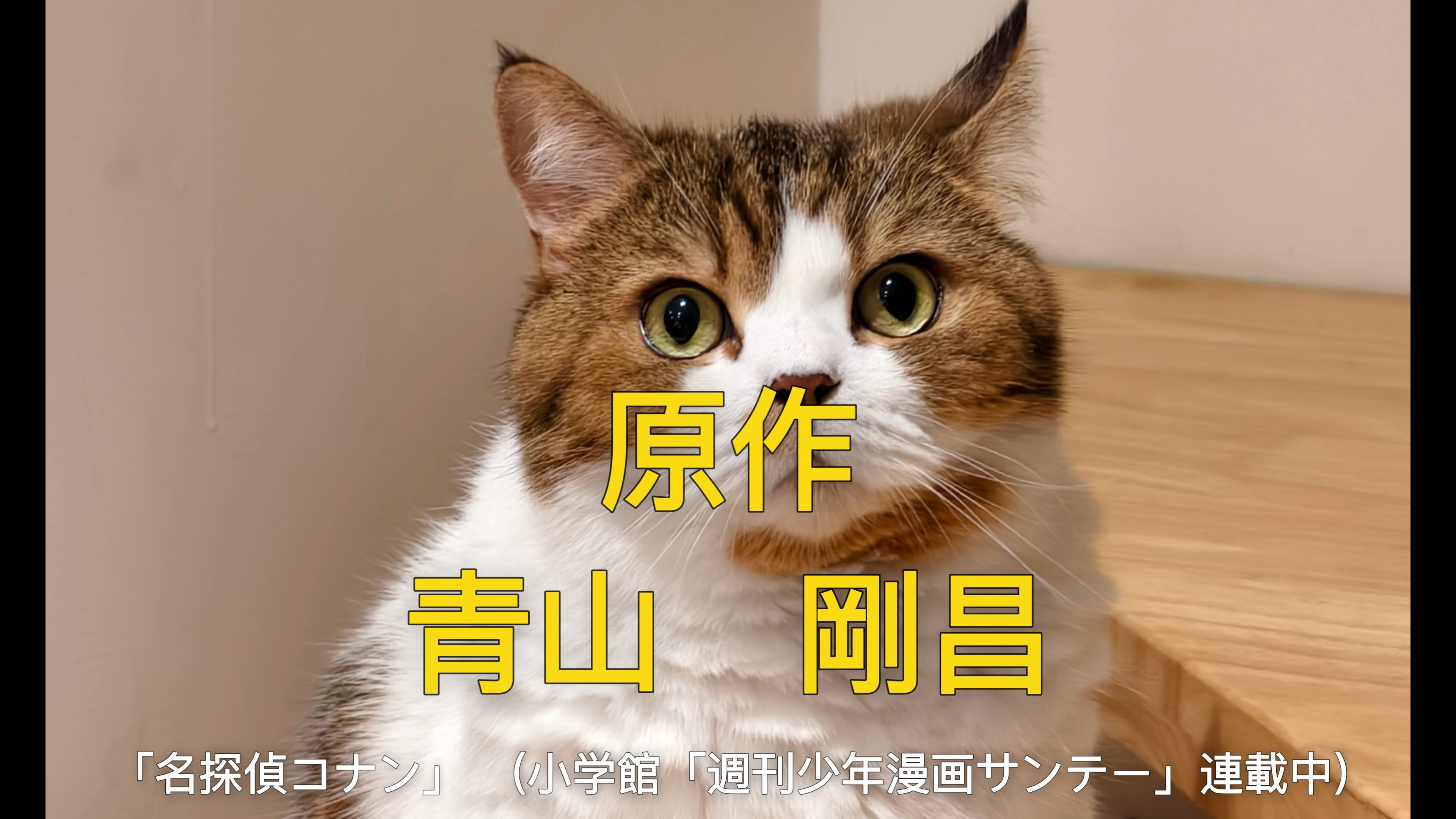 故事感滿滿的大頭
