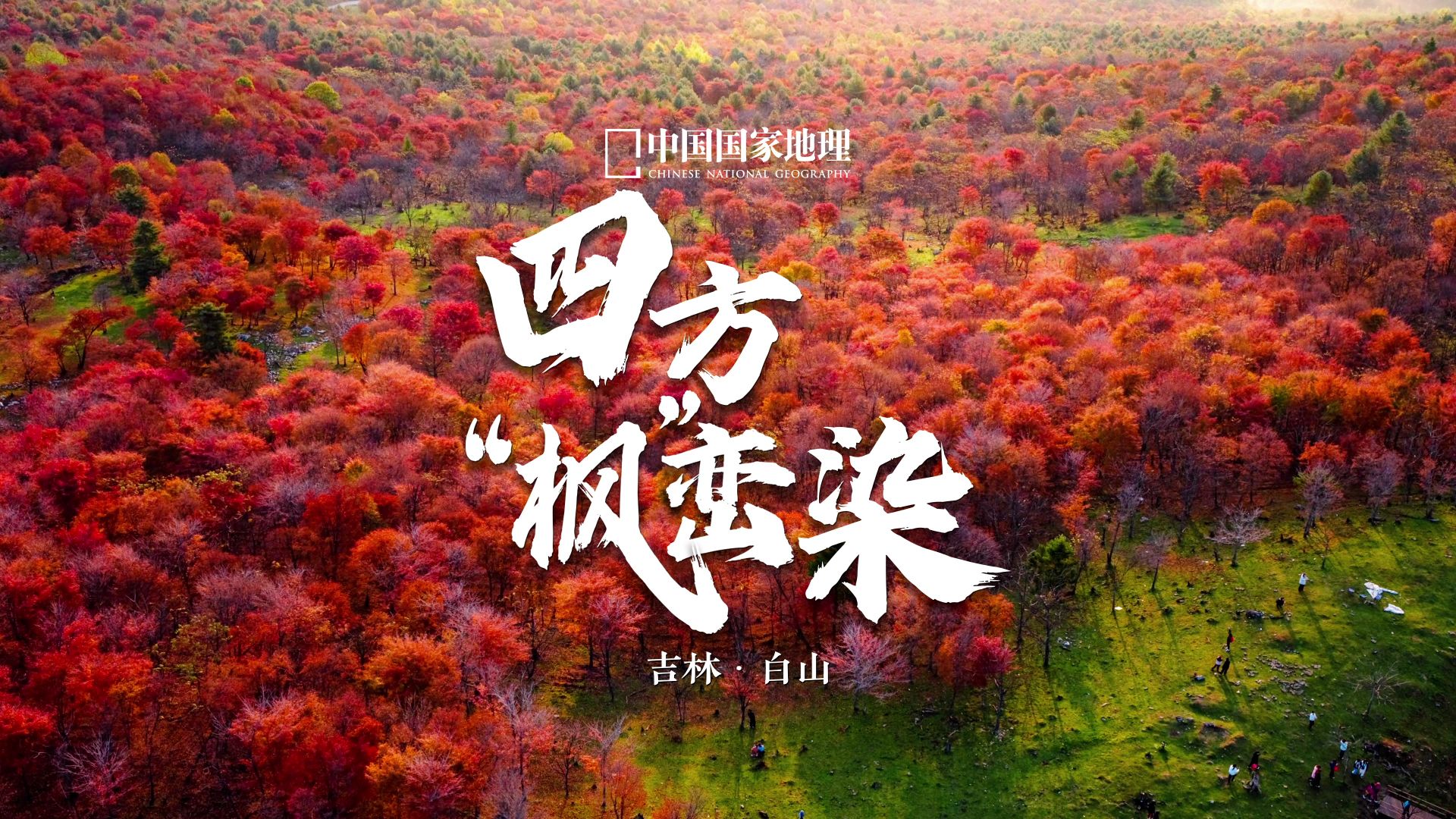 长白余脉间,枫谷正燎原! 长白余脉间,枫谷正燎原!