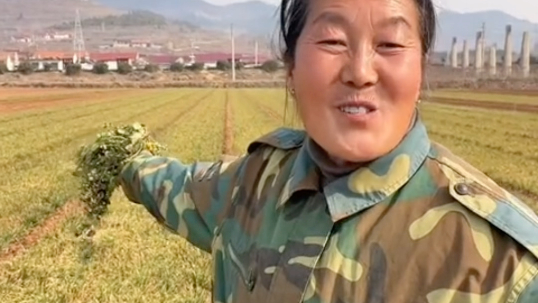 52岁农妇田间作诗好惊艳！她把劳动人民的日常，揉进文字里