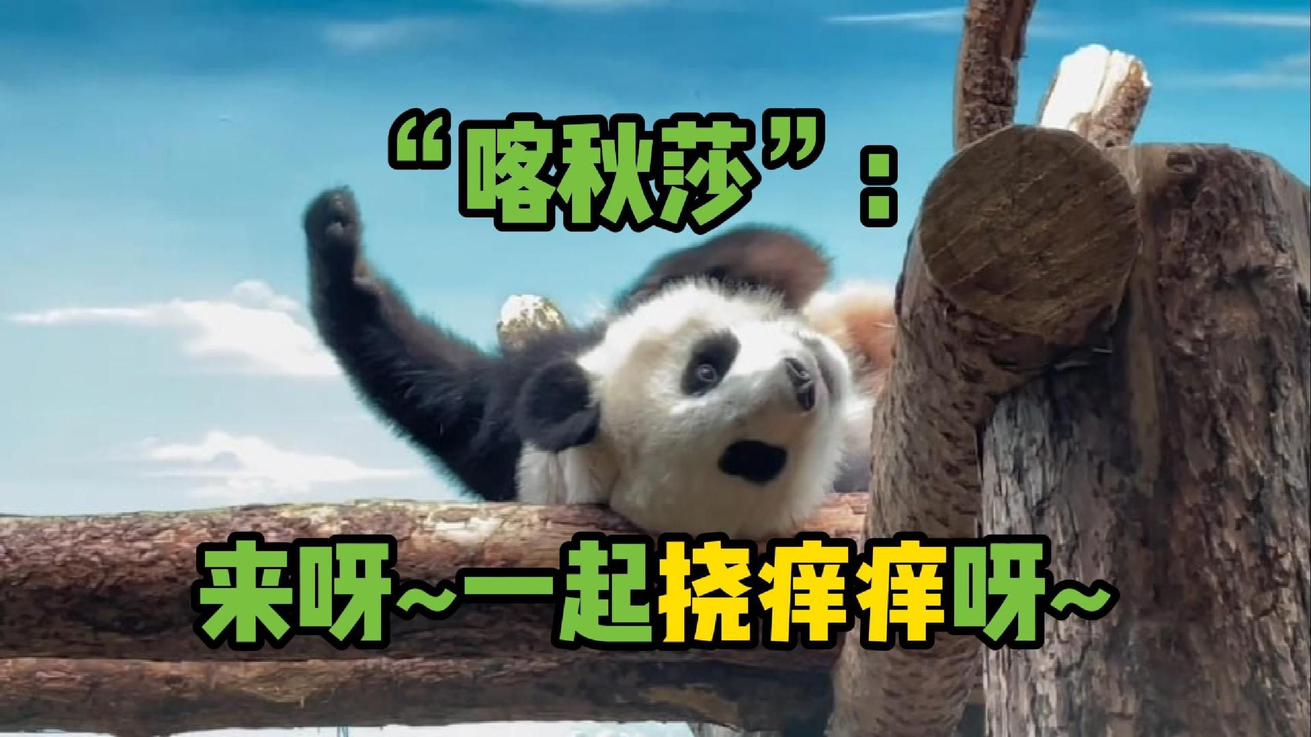 “喀秋莎”的悠闲时刻