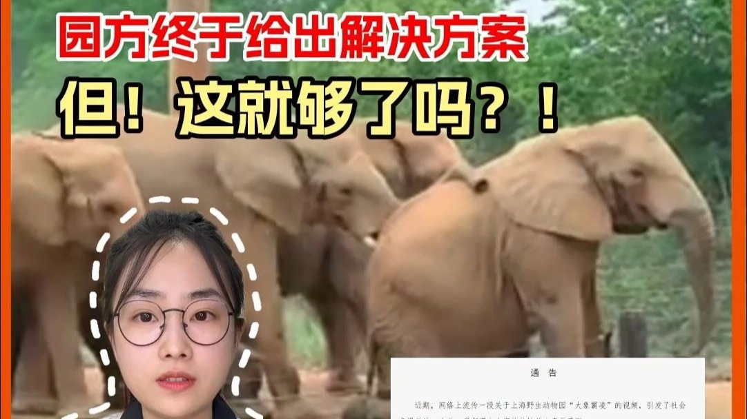 最近上海野生动物园大象被霸凌的事，在网上吵得沸沸扬扬，园方也