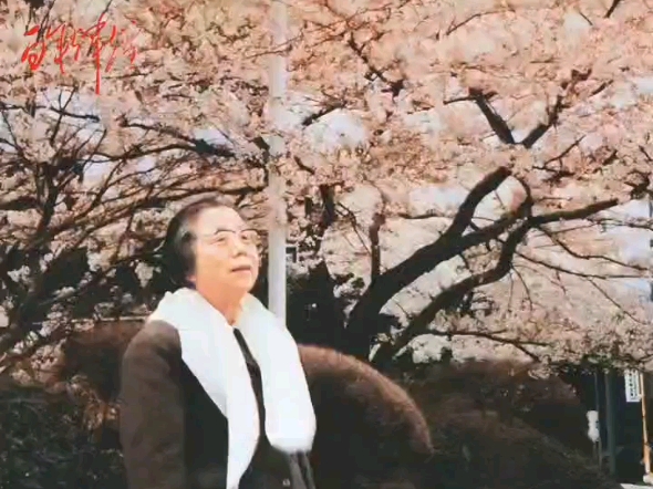 从西花厅海棠花忆起