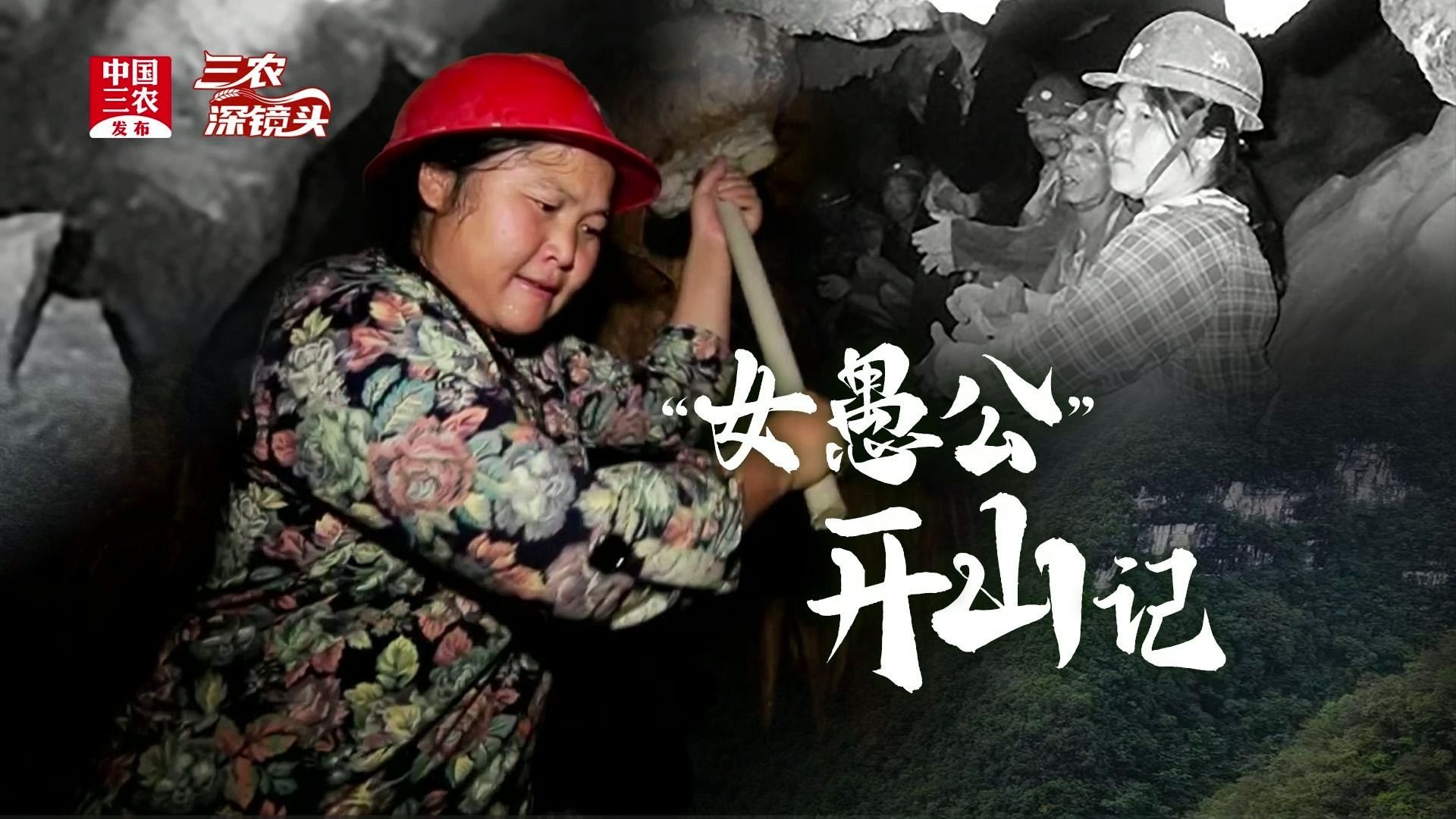 三农深镜头丨“女愚公”开山记 三农深镜头丨“女愚公”开山记