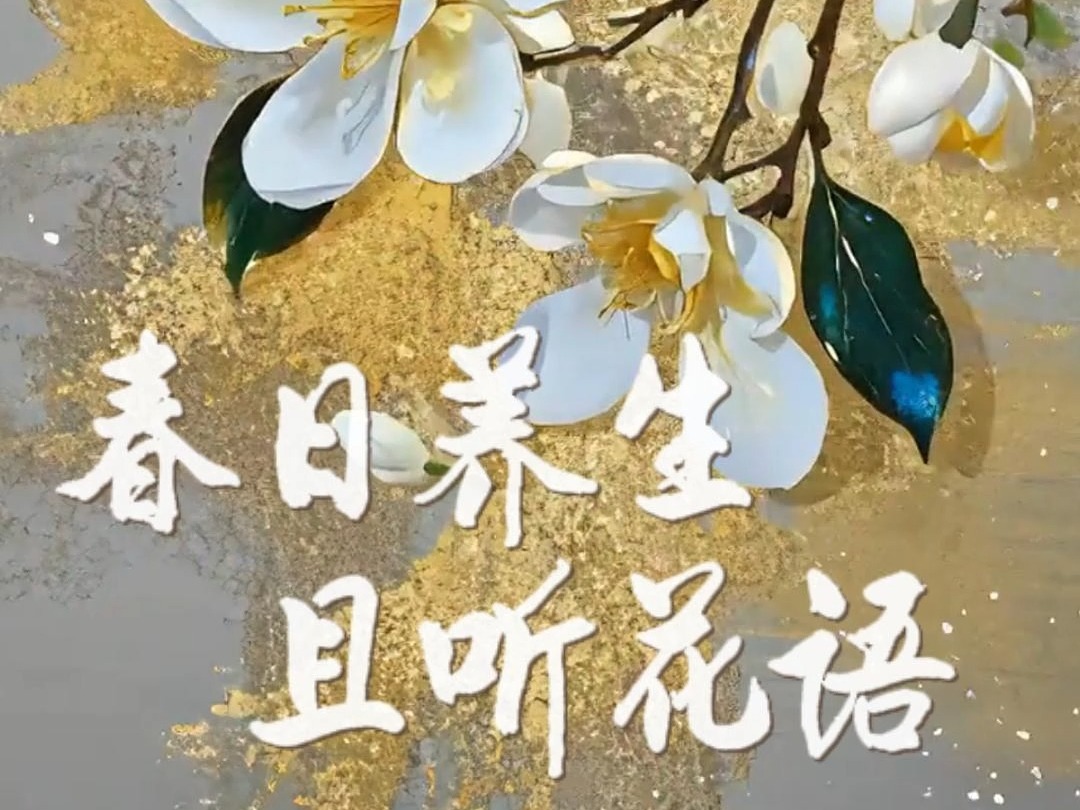 春日养生，且听花语