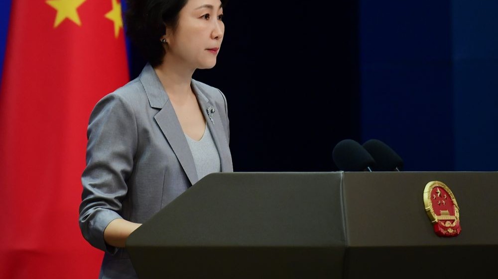 台湾没有任何根据、理由或权利参加只有主权国家才能参加的国