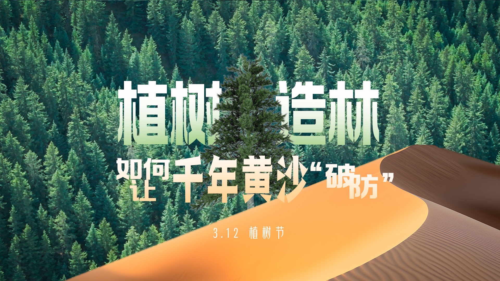 逆天改命！植树造林如何让千年黄沙“破防”？