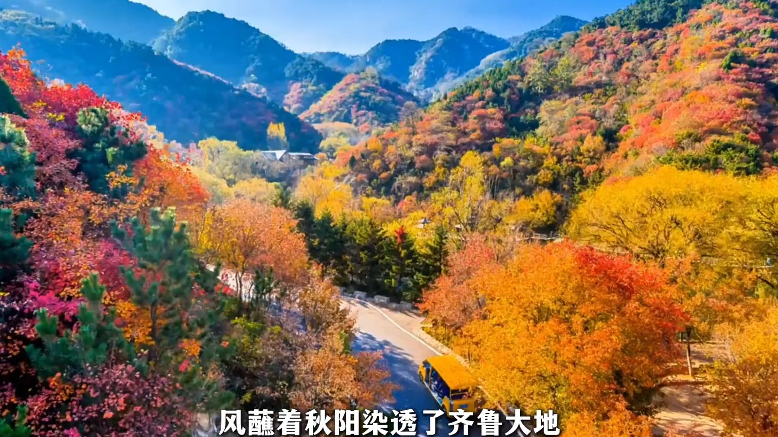 注意!山东的秋“红”出圈了! 注意!山东的秋“红”出圈了!