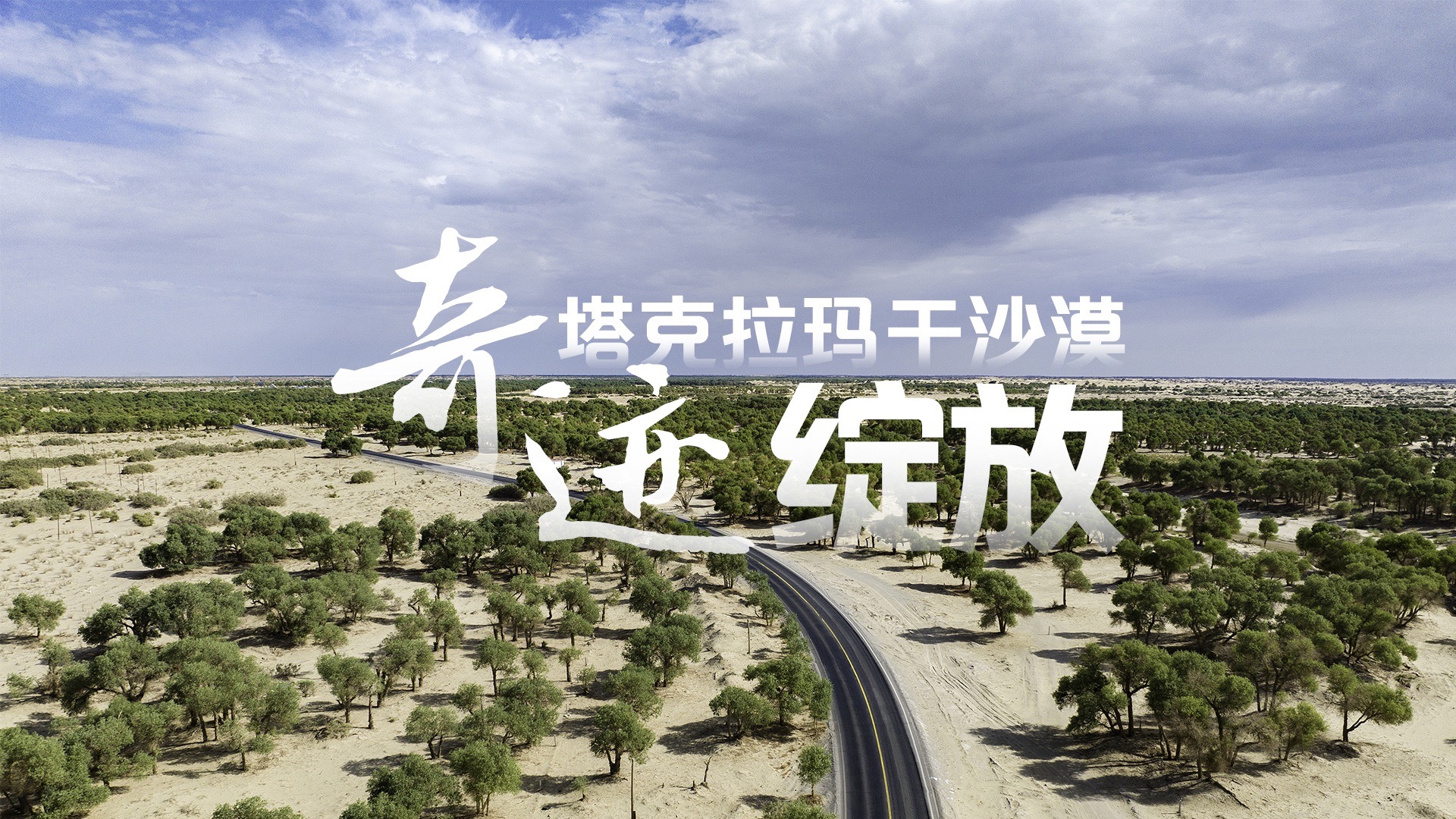 在新疆，奇迹在沙漠中绽放