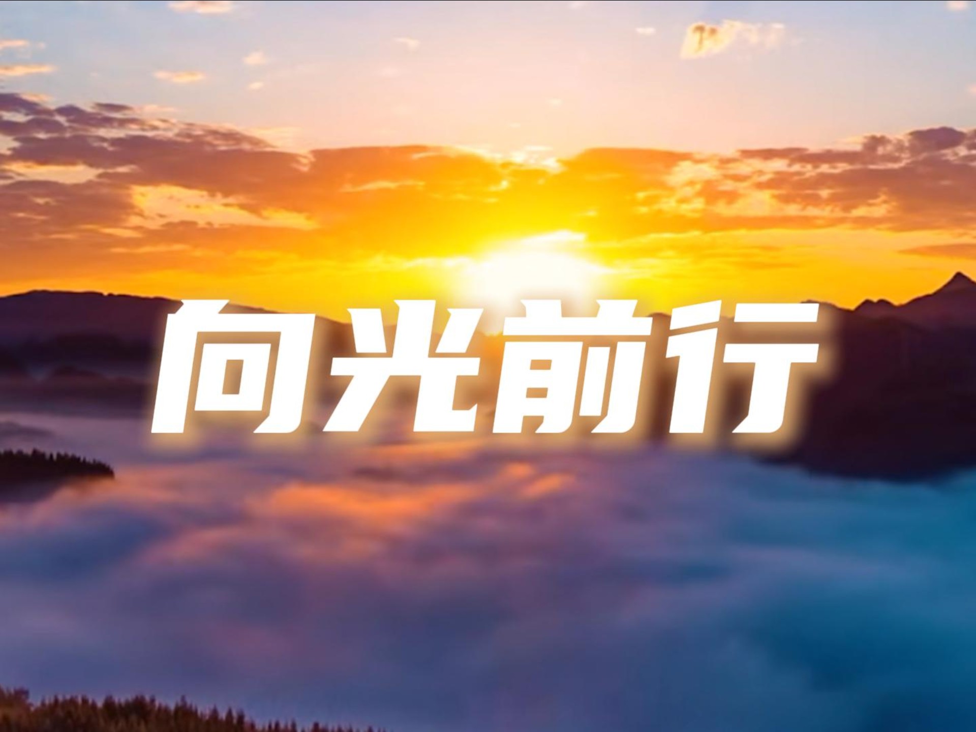 一起向光前行