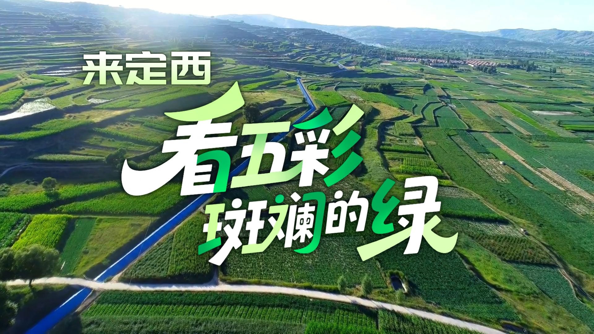 定西人均种树卷王！