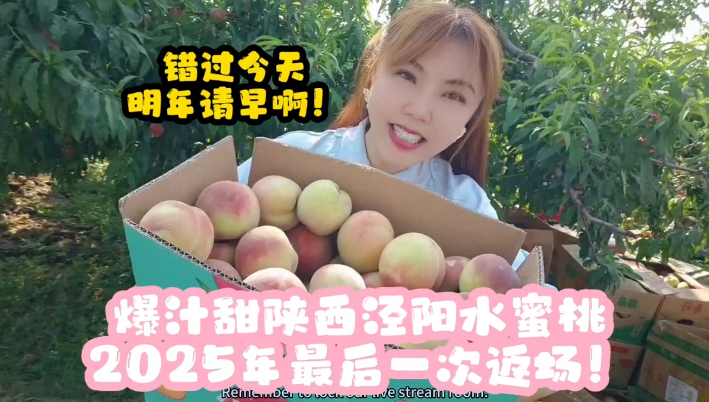 陕西泾阳爆汁甜水蜜桃，今天最后一波返场。错过明年请早啊！