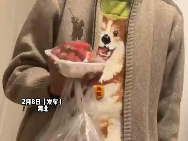 有心者不用教