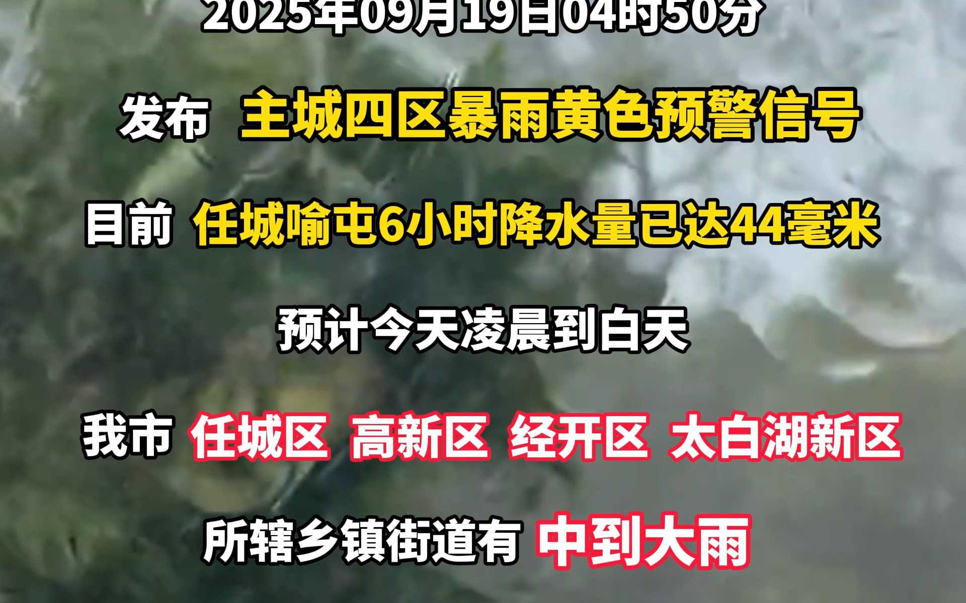 济宁市气象台发布主城四区暴雨黄色预警信号 济宁市气象台发布主城四区暴雨黄色预警信号