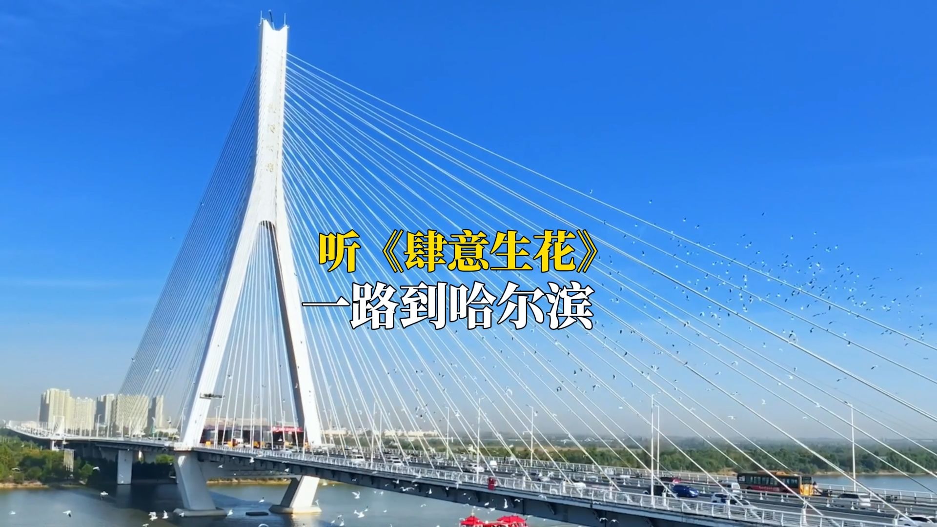 出发，一路到哈尔滨！
