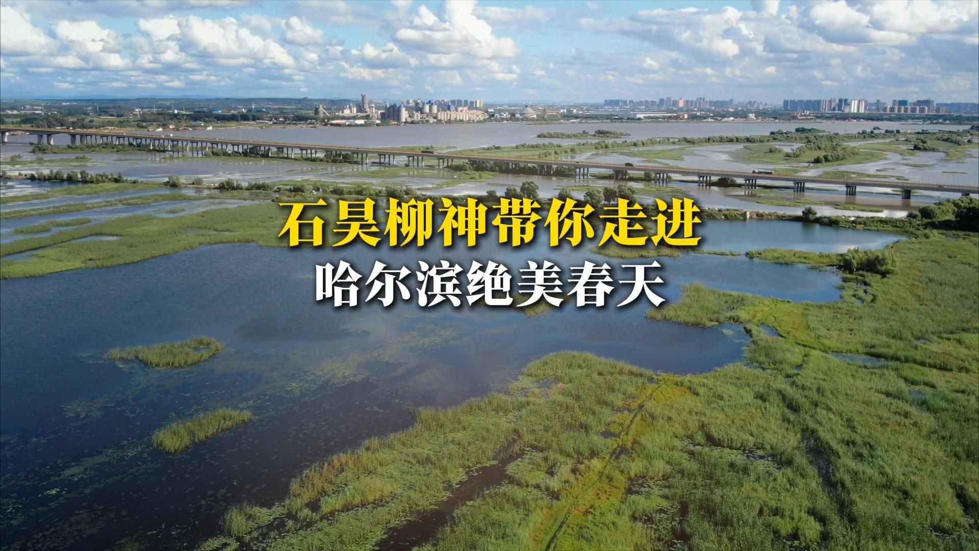 和石昊柳神一起踏青赏春，带你走进哈尔滨的绝美春天