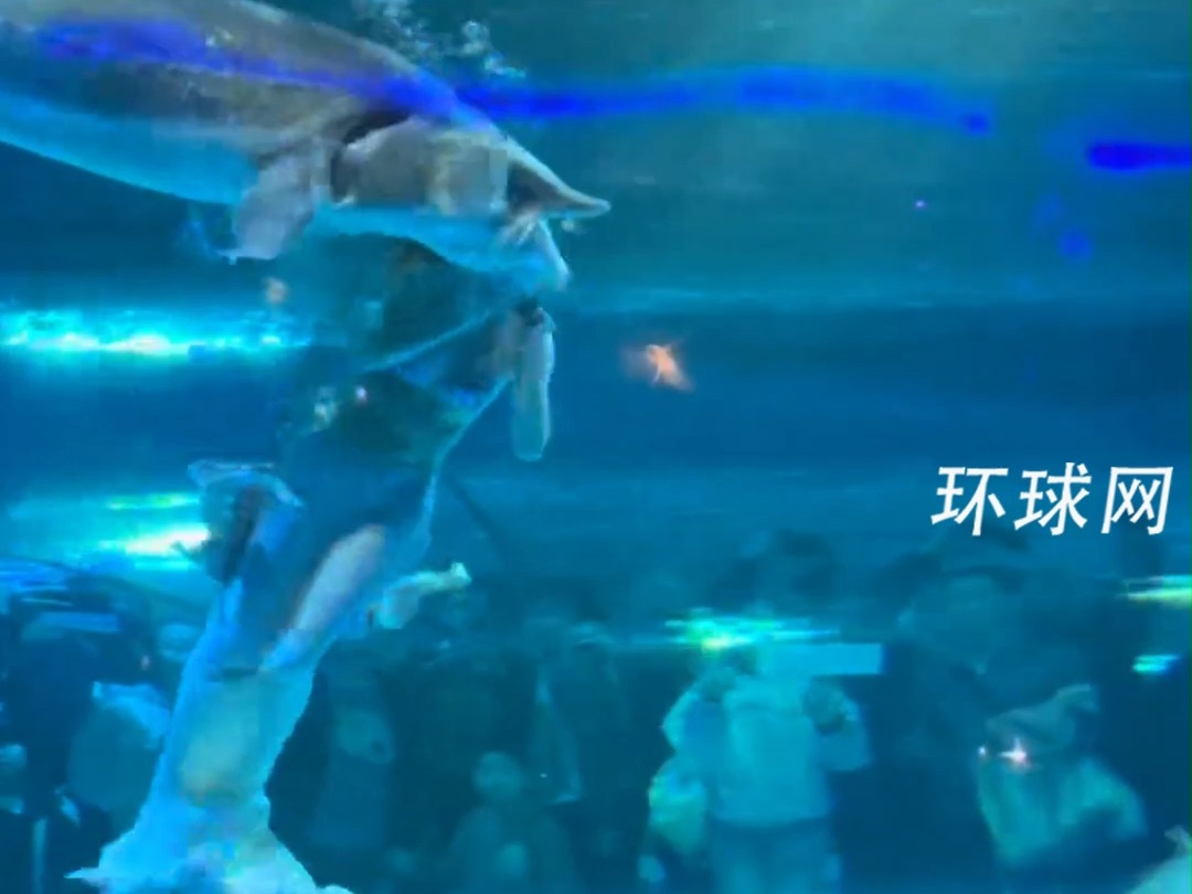 美人鱼表演突发意外，被鲟鱼紧紧咬住头部，景区回应：人没事演出暂