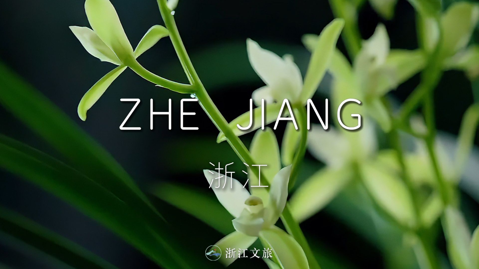 当我以《地球脉动》的镜头走近浙江......