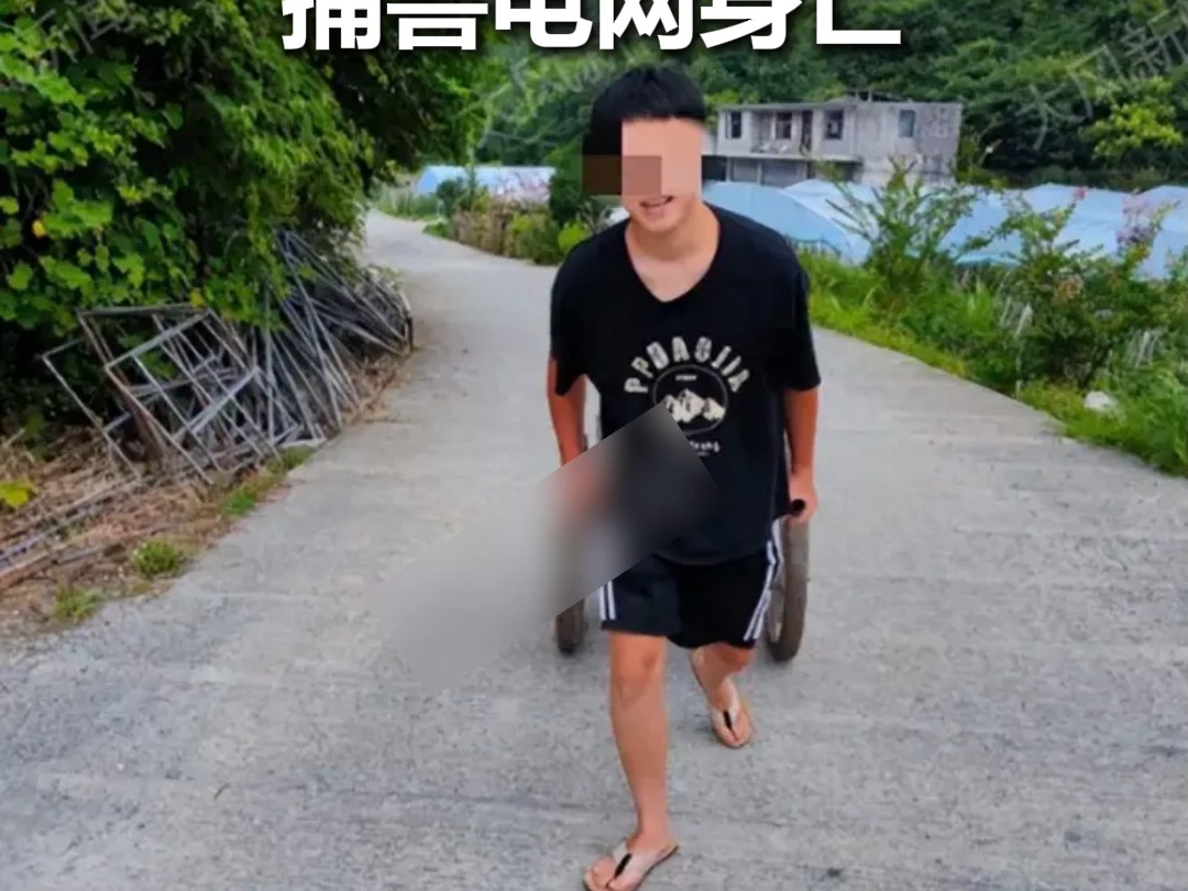 23岁大学生寒假参加“护农队”打野猪，凌晨触碰他人私设捕兽电