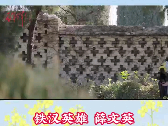寻找那个闪烁的名字薛文英