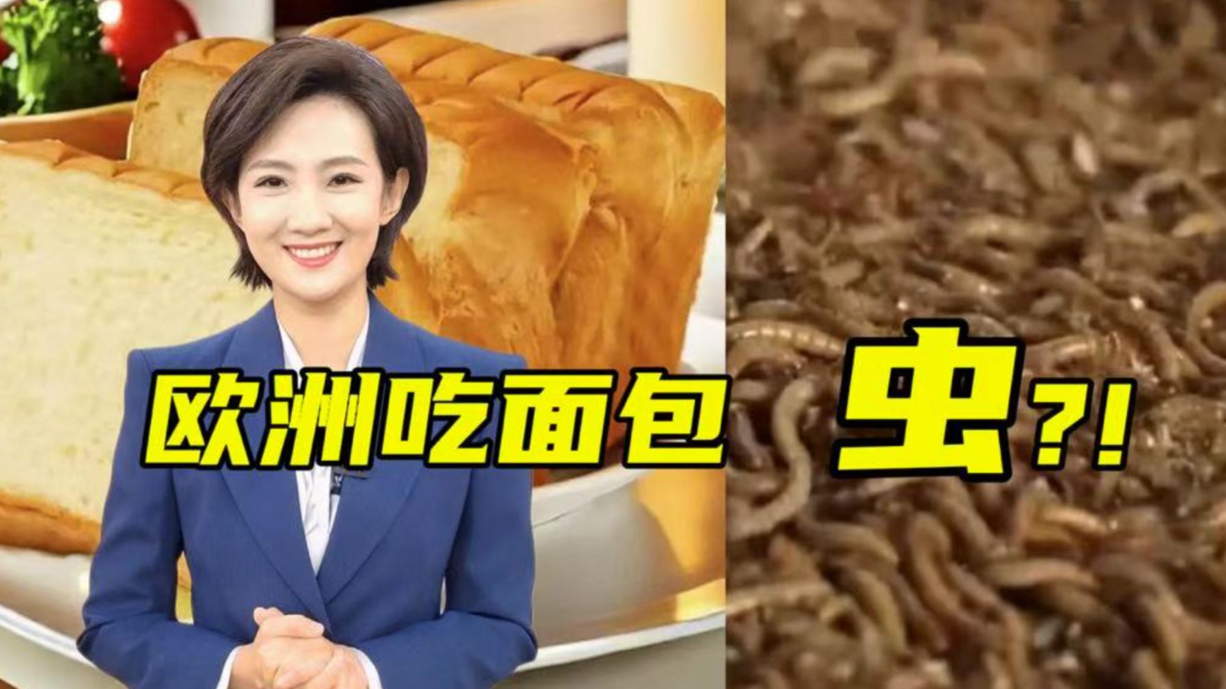 啥？欧洲食物将合法添加这种虫粉 ？！【主播说三农】