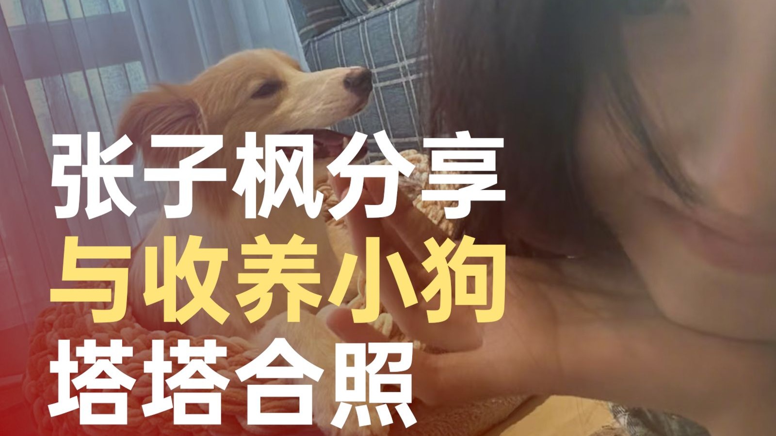 张子枫晒与收养小狗塔塔合照