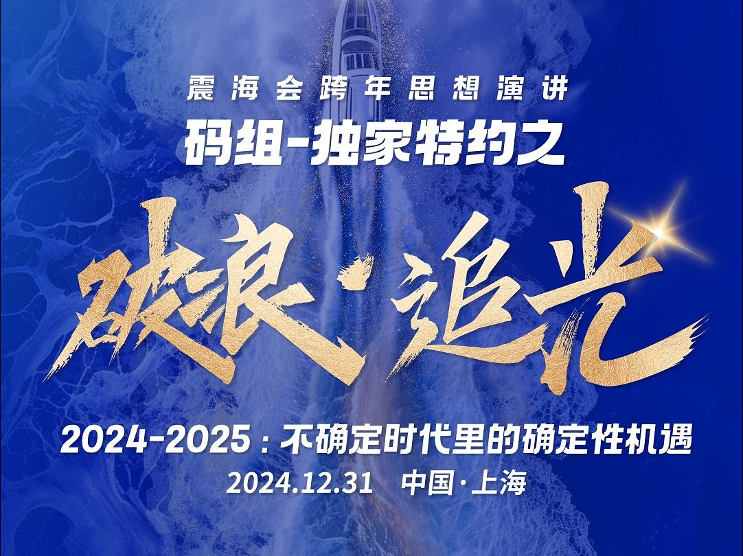 《破浪•追光 - 2024-2025年：不确定时代里的确定性机遇》震海