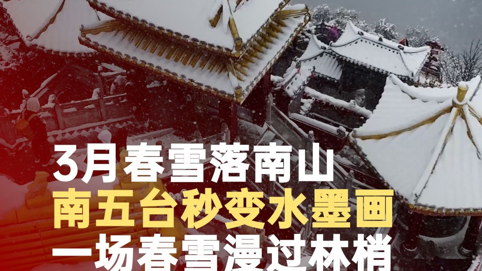 3月春雪落秦岭终南山秒变水墨画