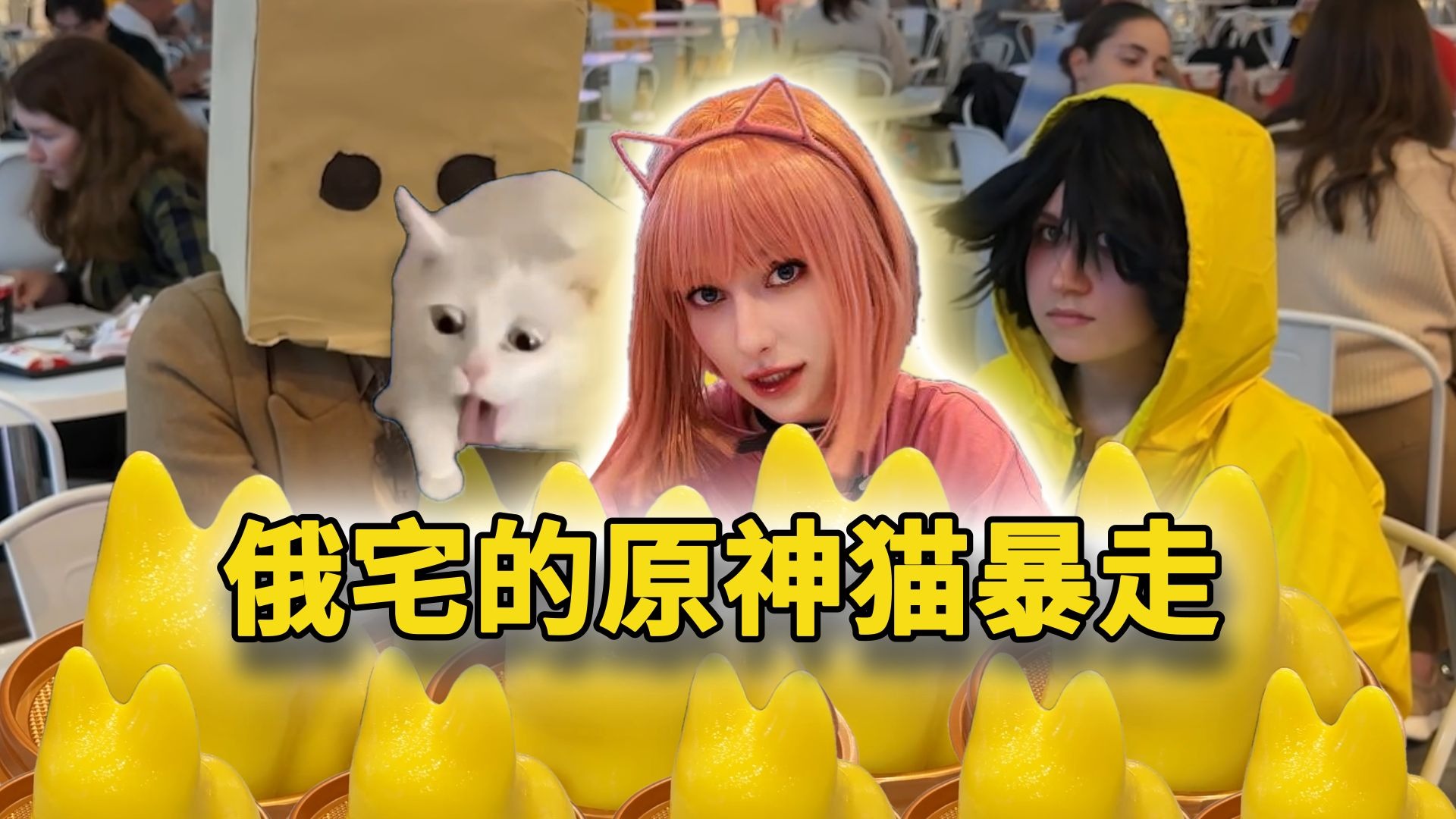 原神猫猫拷问时间！俄罗斯宅宅的答案让我笑裂了！