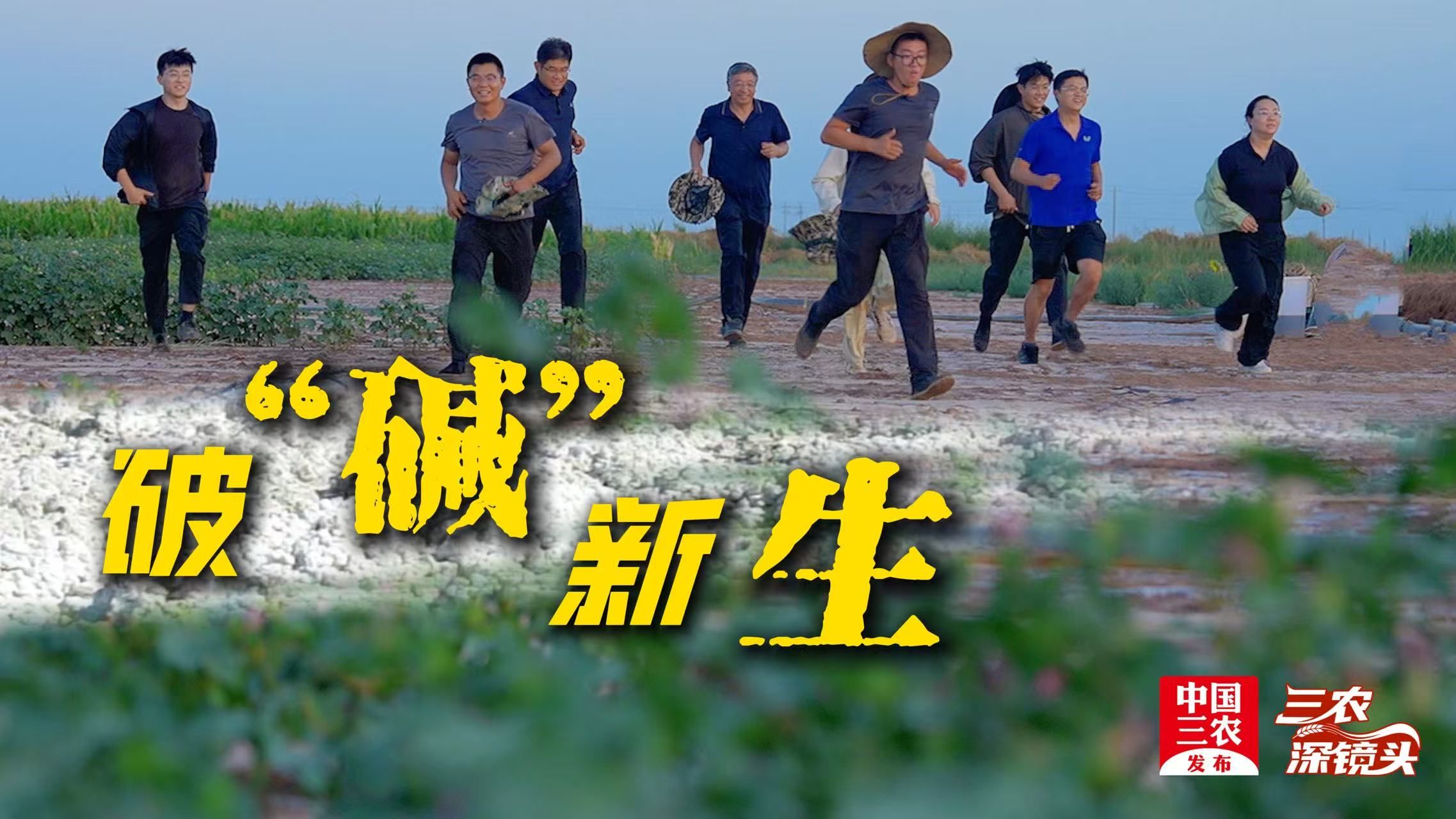 三农深镜头丨他们爆改的盐碱地正在开花