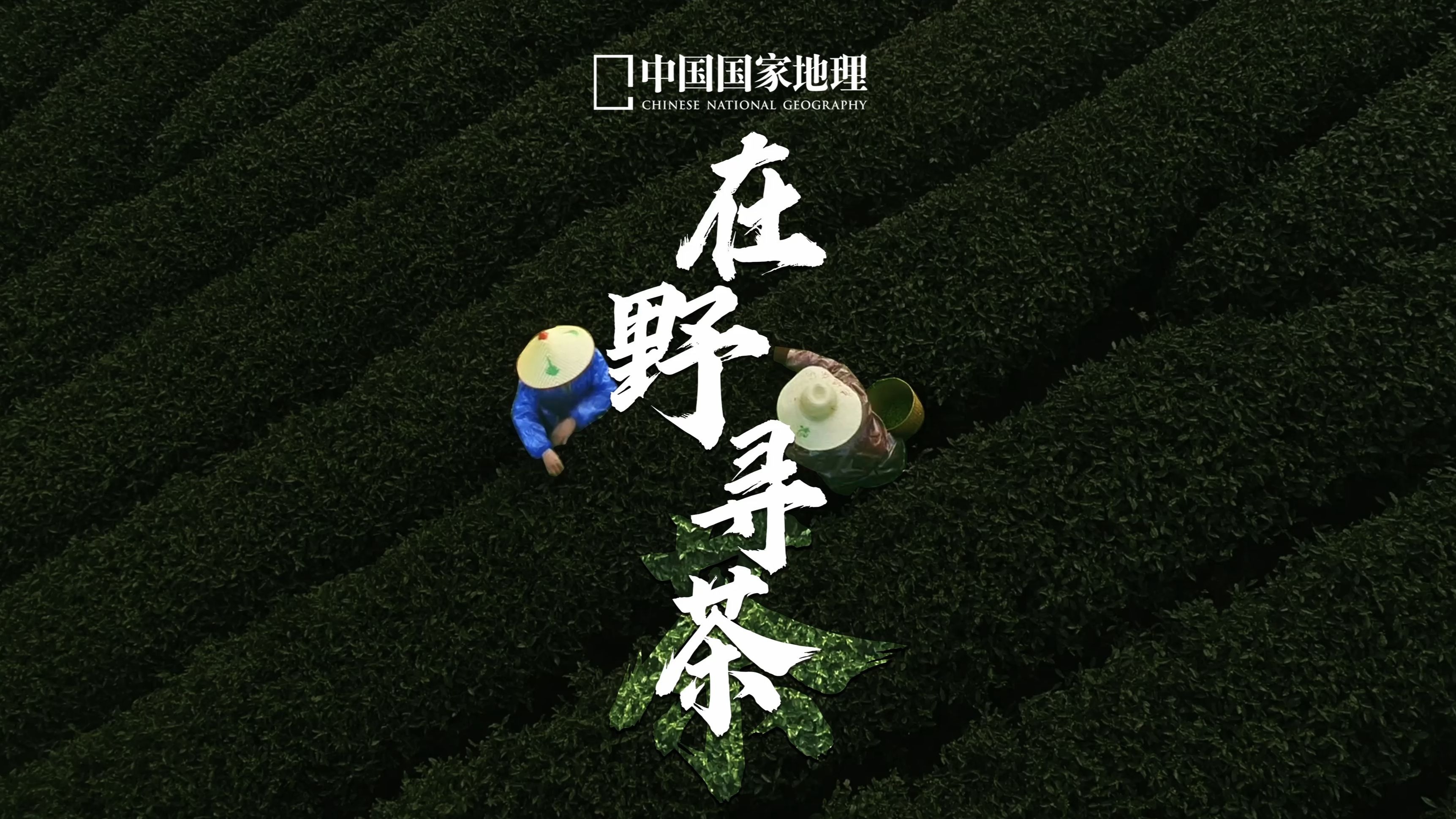 想要一个绿意弥漫的评论区！
