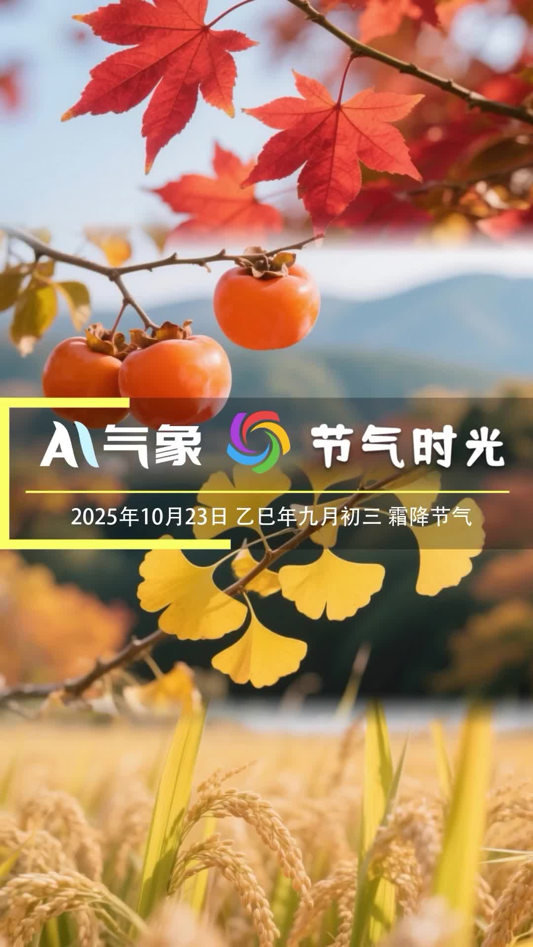 节气时光-霜降 节气时光-霜降