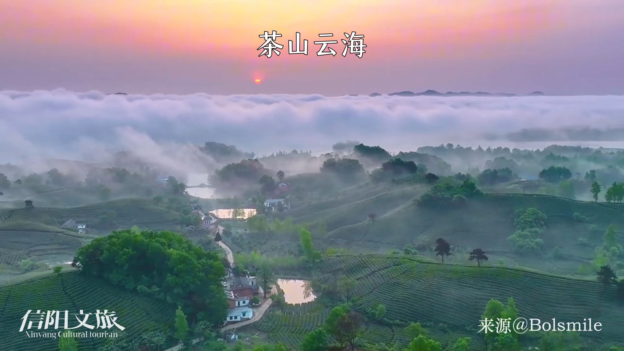 出发!跟着#梓渝 的《肆意生花》游信阳！#肆意生花#想来信阳过