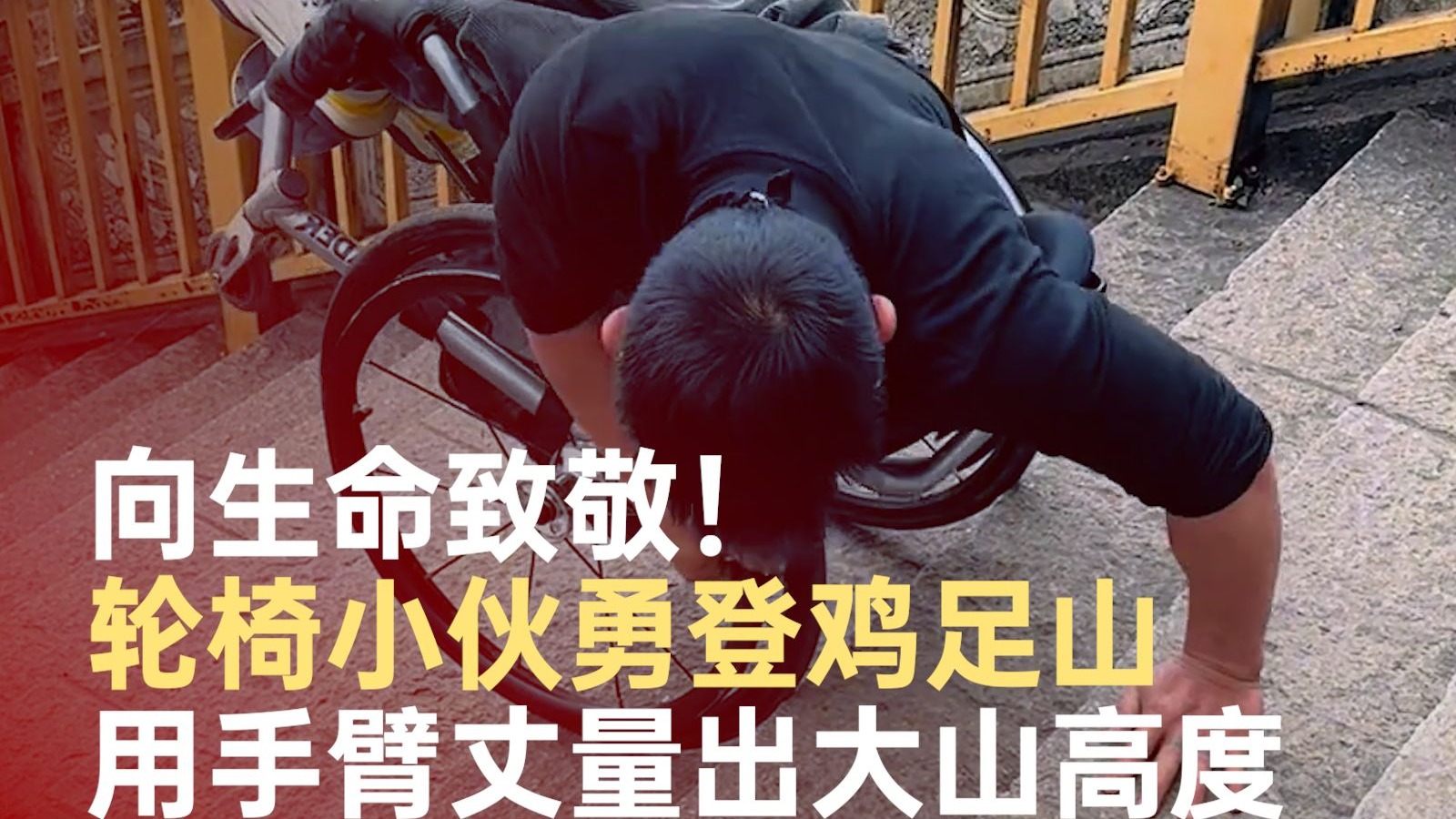 轮椅小伙勇登鸡足山：轮椅不是枷锁是战甲