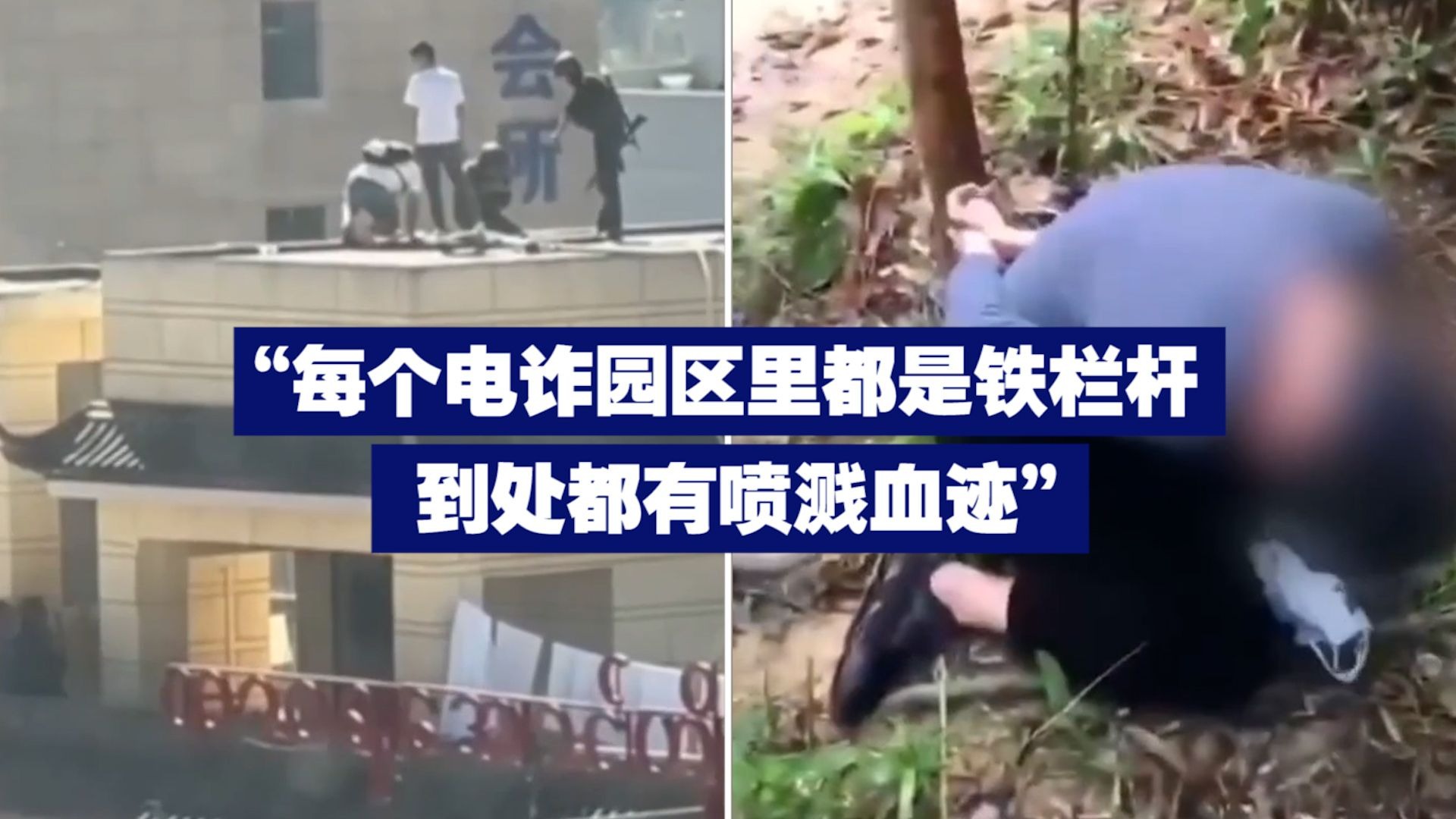 “每个电诈园区里都是铁栏杆 到处都有喷溅血迹”