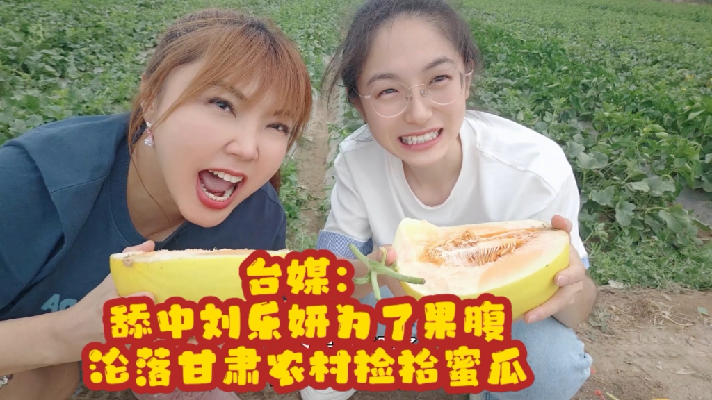 台媒：舔中刘乐妍为了果腹沦落甘肃农村捡拾裂口蜜瓜！