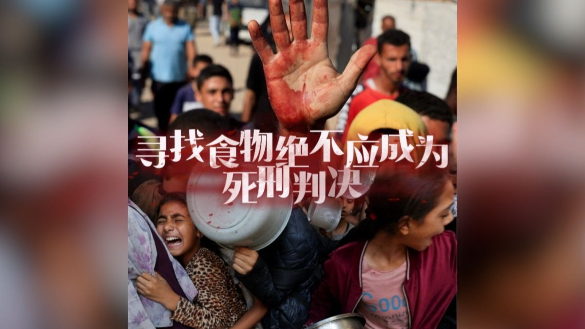 寻找食物绝不应成为加沙人的死刑判决