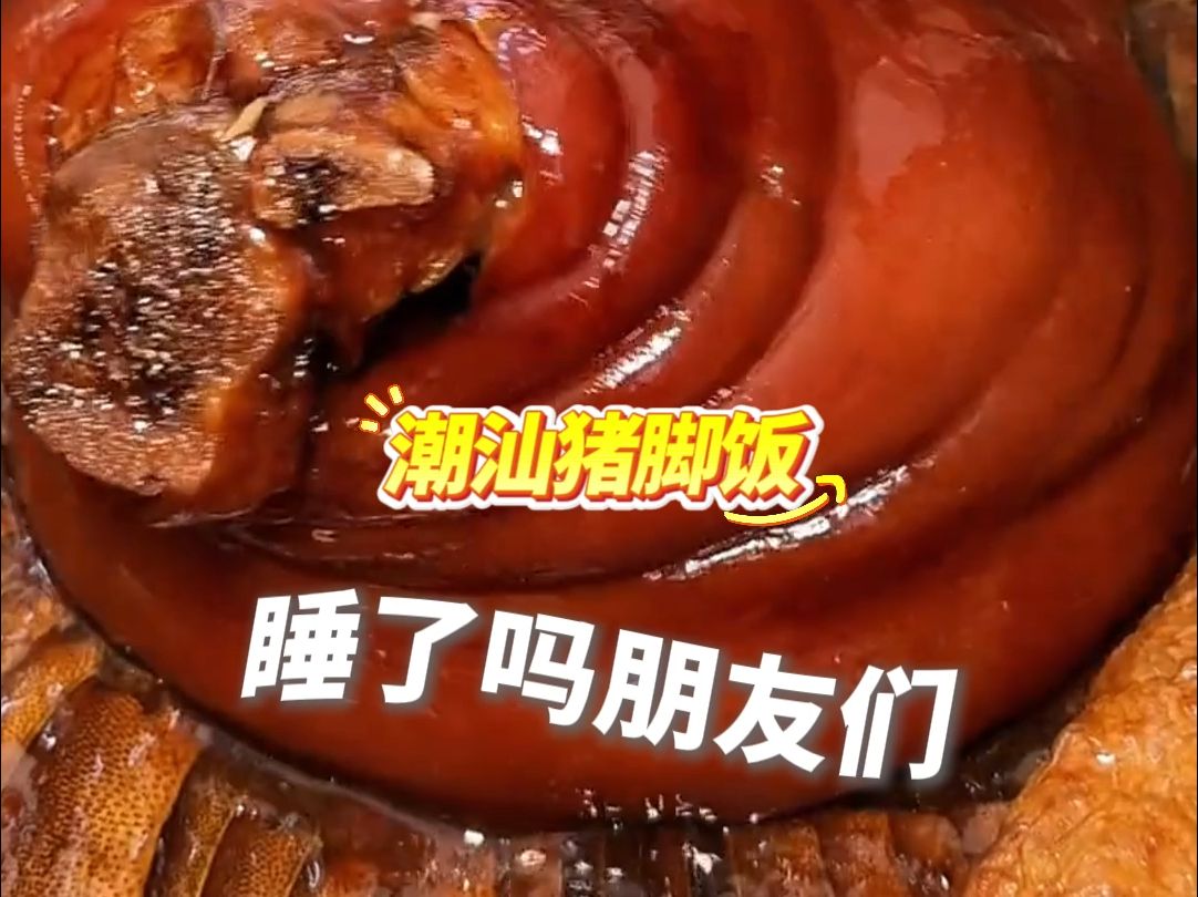 睡了吗？今晚吃潮汕猪脚饭。转给你的好朋友，然后晚安